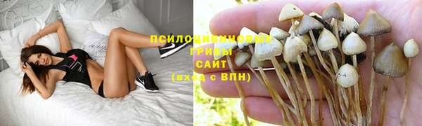 марки nbome Алзамай