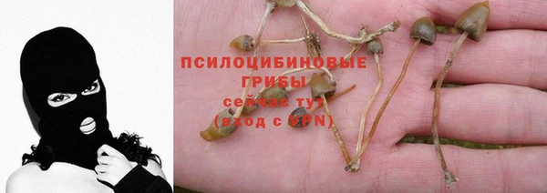 синтетический гашиш Медногорск