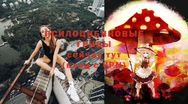 шишки Абинск